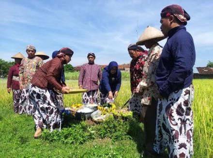 Tradisi Wiwitan Sebagai Investasi Budaya dan Pariwisata Kalurahan Baturetno